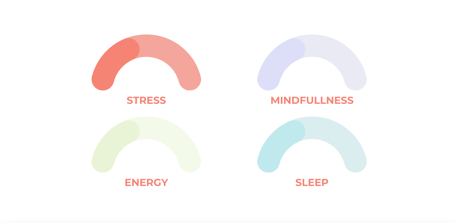 WellnessMetrics